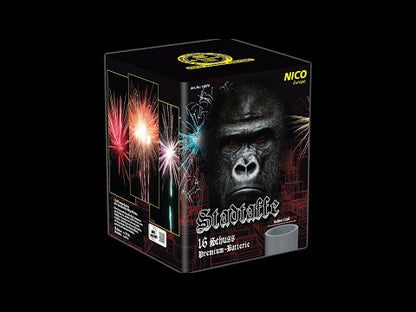 Stadtaffe - Nico